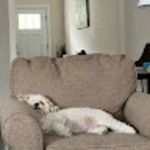 Meet your Posher, Tommy